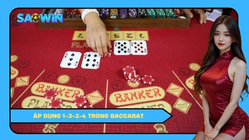 Áp dụng 1-3-2-4 trong Baccarat