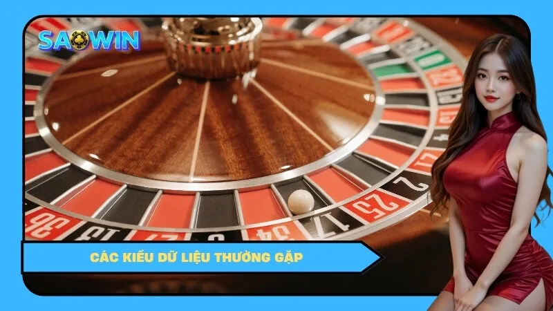 Các Kiểu Dữ Liệu Thường Gặp