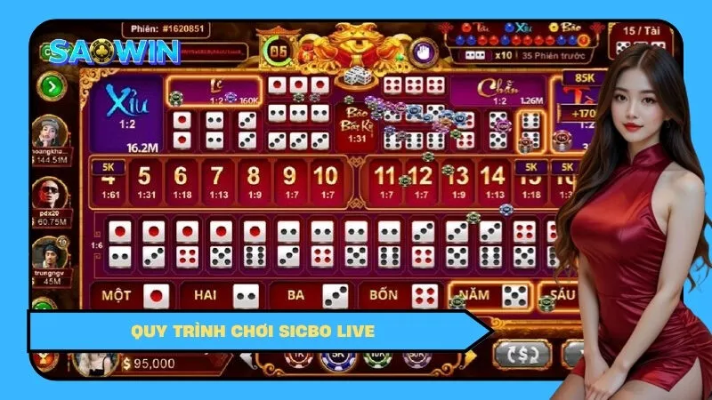 Quy trình chơi Sicbo Live